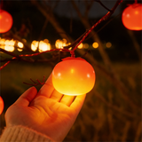 Persimmon Light Series