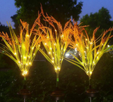 Floral Ground Plug String Lights