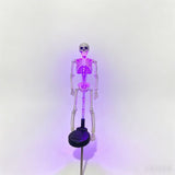 Halloween LED Solar Skull Skeleton Stake Light Yard Lawn Decor